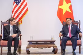 Le PM vietnamien rencontre le directeur général de DFC