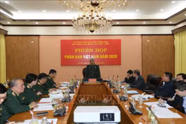 Session plénière du sous-comité du Vietnam sur le Centre tropical Vietnam-Russie