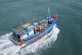 Protection des ressources aquatiques associée à la prévention et au contrôle de la pêche INN 