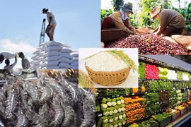 Les produits agricoles vietnamiens pénètrent le marché sud-coréen