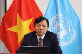ONU : le Vietnam salue des évolutions positives en Colombie