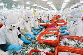 Vingt-cinq produits d'exportation répertoriées dans le club « un milliard de dollars »