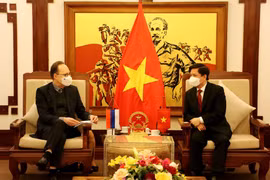 Promouvoir la coopération Vietnam - Russie dans le domaine des transports
