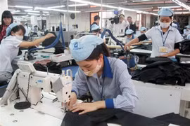 Le ministère de l'Industrie et du Commerce exécute les procédures sur la ratification de l'EVFTA