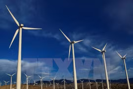 Le Vietnam promeut les énergies renouvelables pour son développement durable 