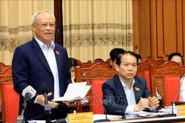 Des localités vietnamiennes se préparent aux prochaines élections législatives