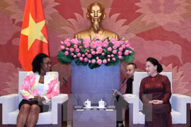 Promotion de la coopération Vietnam – Mozambique