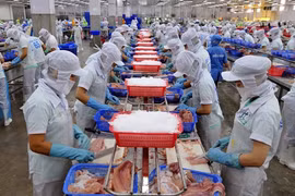 Les Etats-Unis anticipent leur programme de surveillance des pangasius vietnamiens