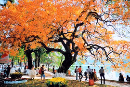 Hanoi renforce la promotion de son tourisme à l’international