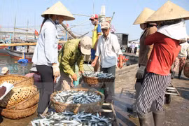 A Quang Tri, les pêcheurs sinistrés reçoient des indemnités avant le Têt