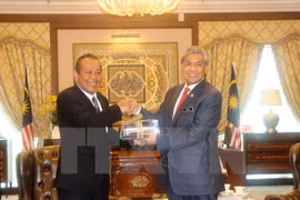 Le vice-PM permanent Truong Hoa Binh en visite officielle en Malaisie