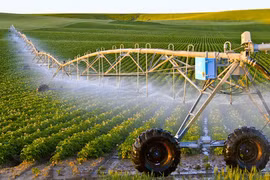 Sciences et technologies, nouveau souffle pour l’agriculture vietnamienne