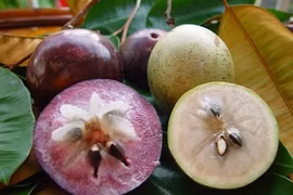 La pomme étoilée fraîche du Vietnam s’exporte aux États-Unis