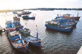 Le Vietnam s’efforce d’aller vers une pêche durable