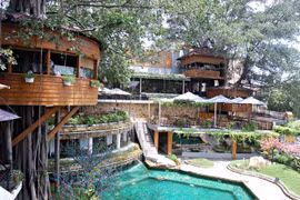 Le café qui se perche sur des arbres séculaires à Hô Chi Minh-Ville
