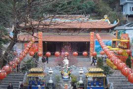 À Ha Long, la pagode de Long Tiên cultive son originalité 