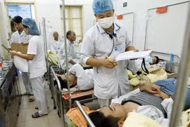 L’épidémie de dengue progresse, la lutte s’intensifie
