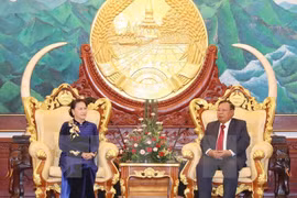 La présidente de l’AN rencontre le secrétaire général du PPRL et président laotien