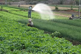 Miser sur les sciences et technologies pour restructurer l’agriculture