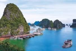 Baie de Ha Long : arrêt de la pêche dans la zone centrale