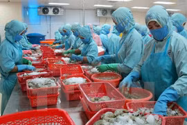 Le Vietnam table sur 10 mds de dollars d’exportations de crevettes