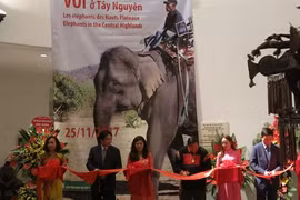 Les éléphants des Hauts Plateaux du Centre stars d’une exposition à Hanoi