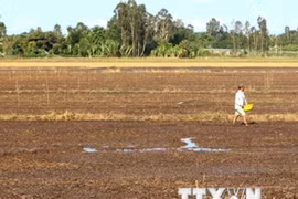 Le delta du Mékong se mobilise contre le réchauffement climatique