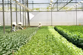 Le Vietnam cherche à stimuler les investissements dans l’agriculture