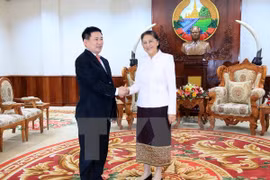 Le Laos tient en haute estime le soutien de l’Audit d'Etat du Vietnam