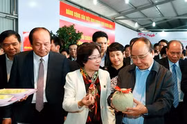 Le Premier ministre Nguyên Xuân Phuc incite l’agriculture à relever le défi du high-tech
