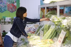Long An s’oriente vers le développement d’une agriculture durable
