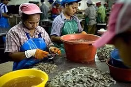 La Thaïlande ajourne sa loi relative à l’emploi des travailleurs migrants
