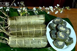 Le banh chung aux plantes médicinales des Muong de Phu Tho