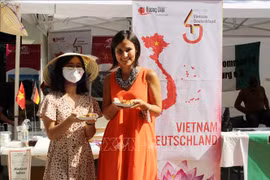 Des images sur le Vietnam présentées lors d'un festival multiculturel en Allemagne