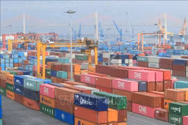 Les exportations de produits vietnamiens vers l'Allemagne en hausse de 30,5% en 10 mois