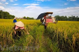 La Banque mondiale prête à soutenir de nouveaux projets agricoles au Vietnam