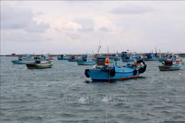 Produits aquatiques : les entreprises s'engagent à lutter contre la pêche INN