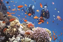 À la découverte du monde de l'eau au Vietnam