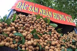 La Foire de promotion du commerce du longane à Hung Yen
