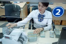 Les envois de fonds à Hô Chi Minh-Ville en hausse de 14,2% 