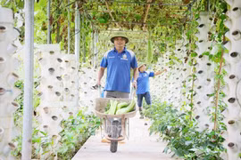 Bac Giang s'efforce d'augmenter la valeur de la production agricole