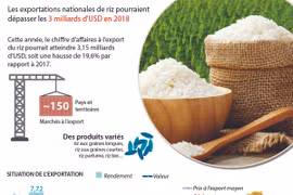 Les exportations nationales de riz pourraient dépasser les 3 milliards d’USD en 2018