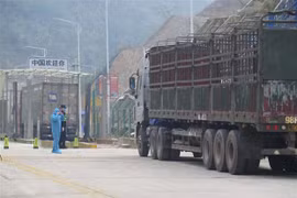 COVID-19 : la porte frontalière de Tan Thanh reprend offiellement ses opérations de dédouanement