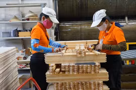 Exportation de bois : 20 milliards d’USD d'exportation visés dans les 5 ans à venir