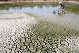 Evaluer la Stratégie nationale sur le changement climatique