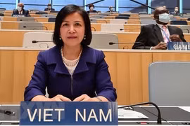 Le Vietnam à la 46e session du Conseil des droits de l'homme des Nations Unies