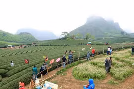 Approbation de l’aménagement global du futur site touristique national de Moc Chau-Trang