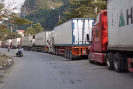 COVID-19 : en quête de nouveaux marchés à l’export pour les produits agricoles