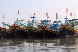 Quang Tri synchronise les mesures pour lever le "carton jaune" de la CE