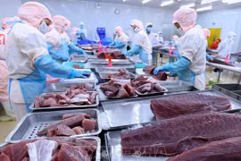 Les exportations de thon du Vietnam au 1er trimestre en bonne voie